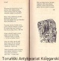 figa ISKR1.jpg