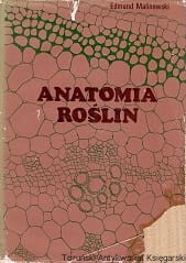 anatomia PWN.jpg