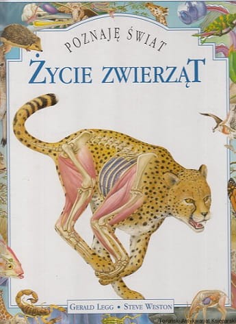 zycie zwierzat.jpg