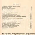 szkice torunskie1.jpg