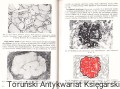 hitopatologia3.jpg