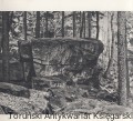 s2.jpg