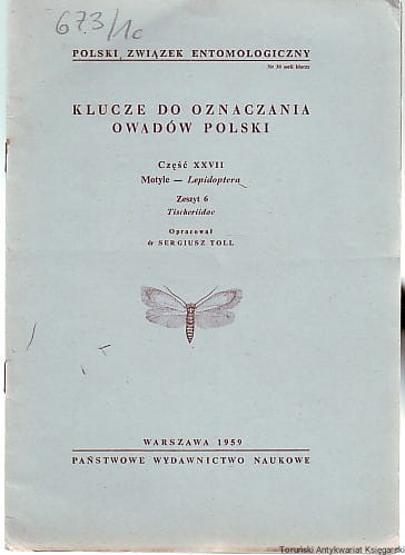 klu.jpg