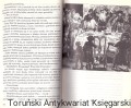 meir2.jpg