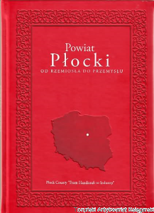 Powiat Płocki: Od rzemiosła do przemysłu / Karol Staniszewski
